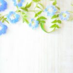 11月のお申込み状況