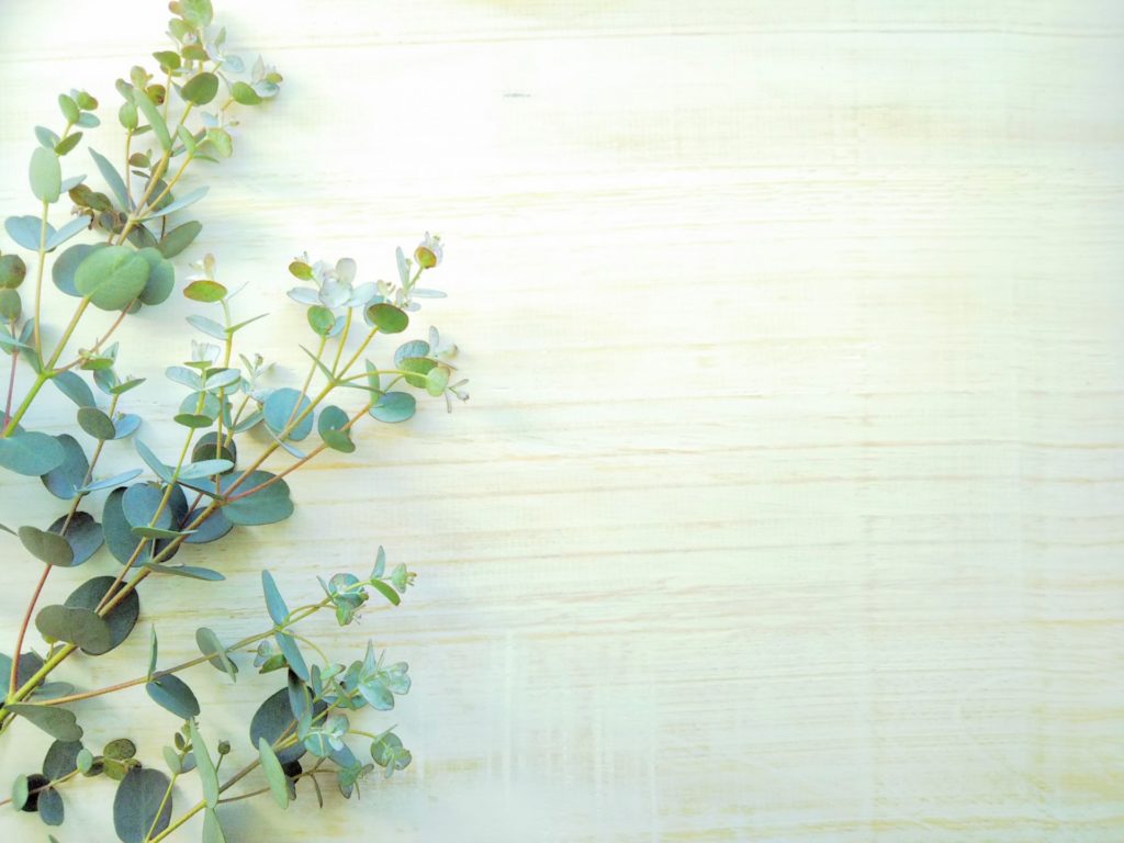 5月のお申込み状況