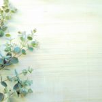 5月のお申込み状況